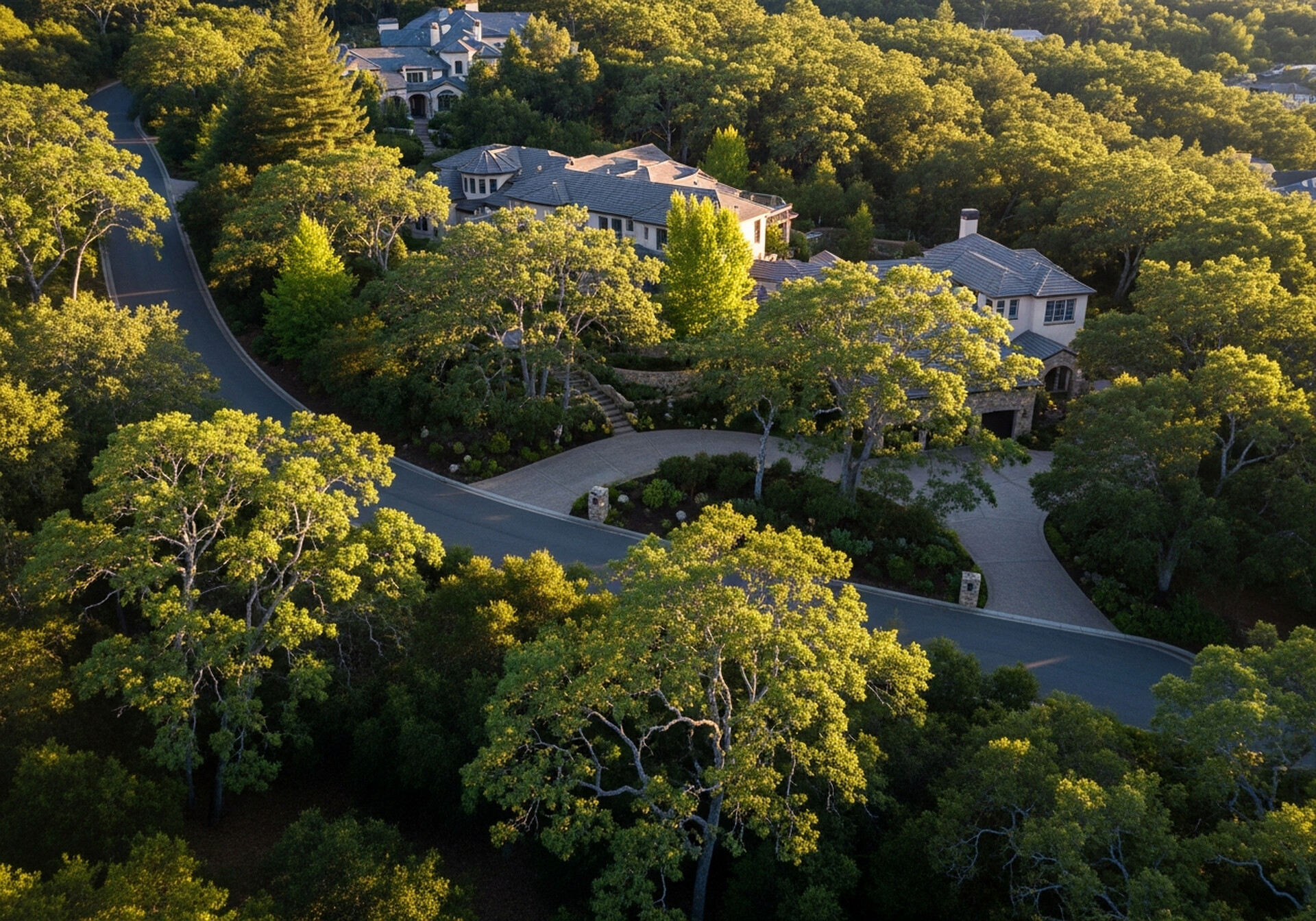 Monte Sereno California luxury estate neighborhood with oak trees and Santa Cruz Mountains in Santa Clara County