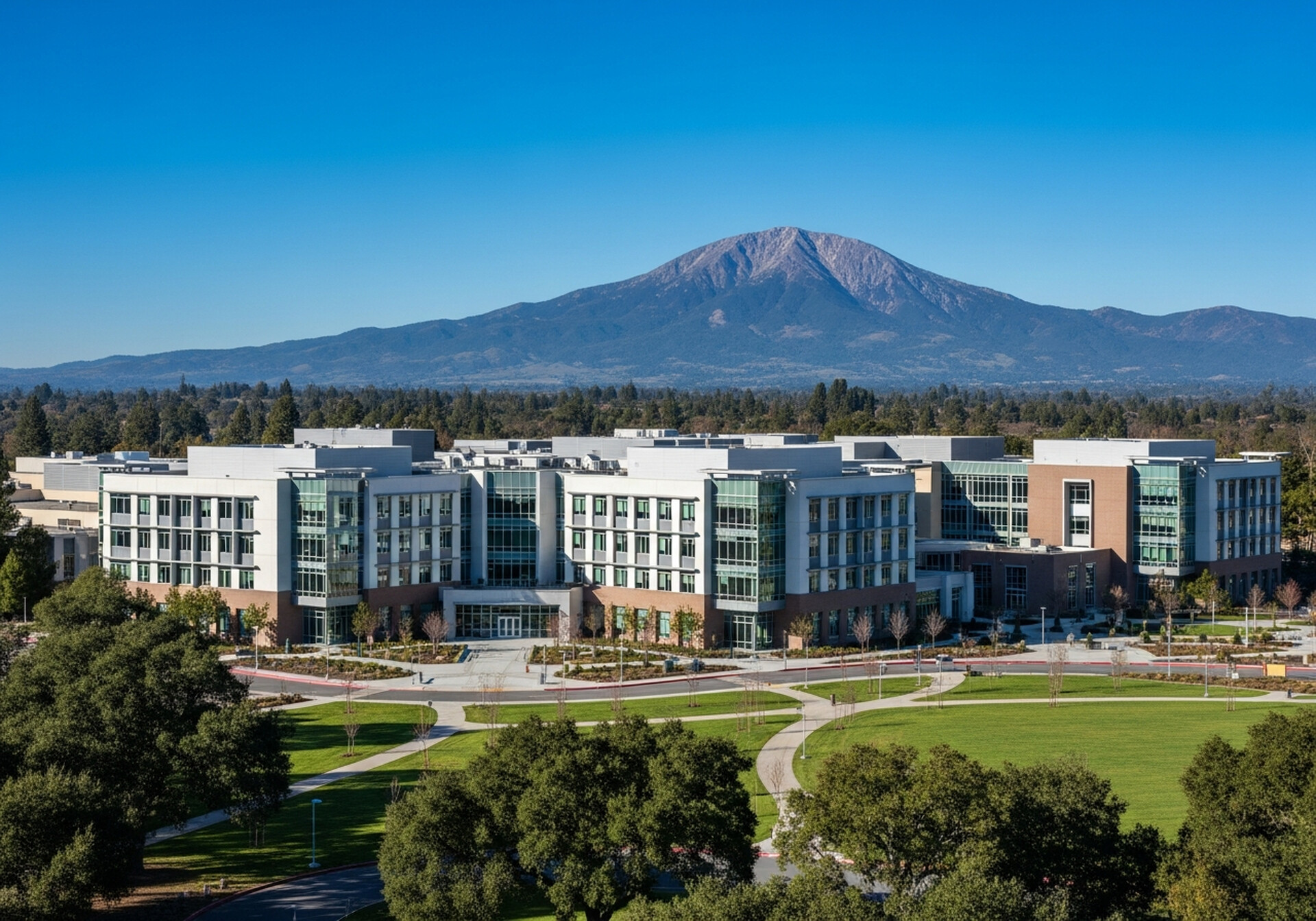 Pleasant Hill California oak-lined neighborhood