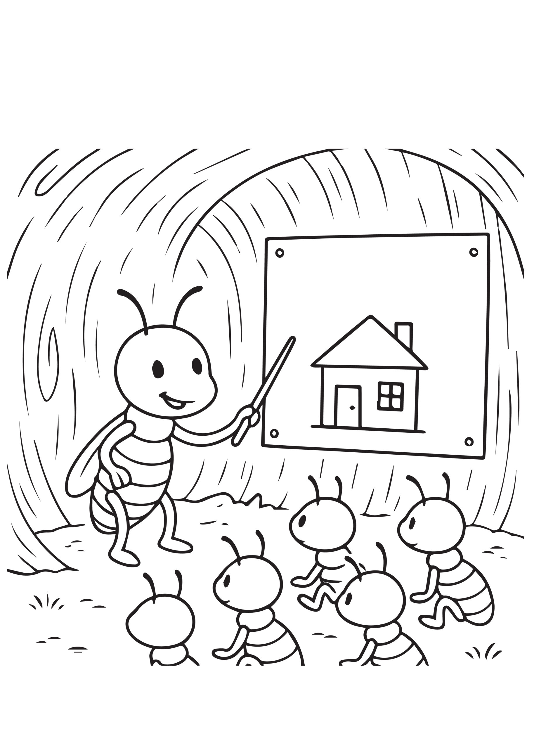 Termite education illustration